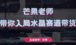 芒果老师·带你入局水晶赛道带货,助你开启水晶直播带货事业-大齐资源站