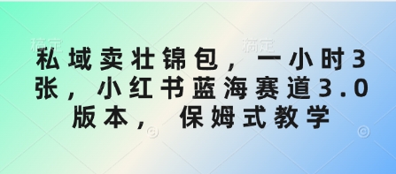 私域卖壮锦包，一小时3张，小红书蓝海赛道3.0版本， 保姆式教学-大齐资源站