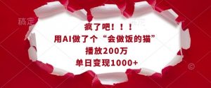 疯了吧！用AI做了个“会做饭的猫”，播放200万，单日变现1k-大齐资源站