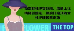 顶流女性IP实战班，流量上亿情绪引爆法，深度打磨顶流女性IP硬核基本功-大齐资源站