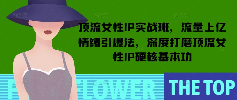 顶流女性IP实战班，流量上亿情绪引爆法，深度打磨顶流女性IP硬核基本功-大齐资源站