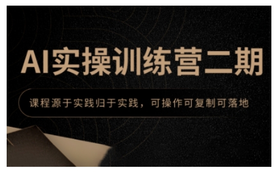 AI实操训练营二期，课程源于实践归于实践，可操作可复制可落地-大齐资源站