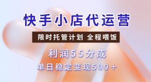 快手小店代运营3.0，模式新升级，收益55分，稳定单日5张【揭秘】-大齐资源站