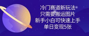 冷门赛道新玩法，只需要搬运图片，新手小白可快速上手，单日变现多张-大齐资源站