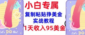 复制粘贴挣美金，0门槛，1天收入95美刀，3分钟学会，内部教程(首次公开)-大齐资源站