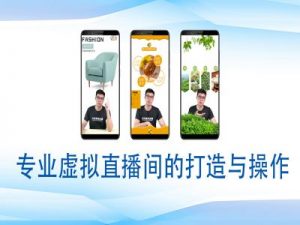 个人虚拟直播间的搭建与操作，专业虚拟直播间的打造与操作-大齐资源站