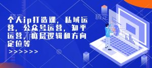 个人ip打造课，私域运营，公众号运营，知乎运营，底层逻辑和方向定位等-大齐资源站
