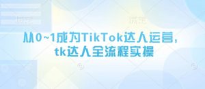 从0~1成为TikTok达人运营，tk达人全流程实操-大齐资源站