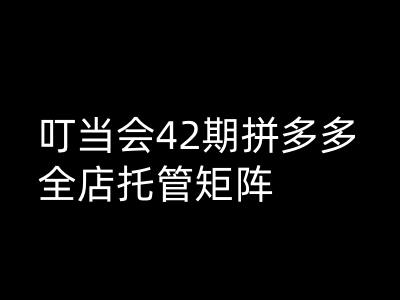 叮当会拼多多打爆班原创高阶技术第42期，拼多多全店托管矩阵-大齐资源站