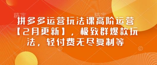 拼多多运营玩法课高阶运营【2月更新】，极致群爆款玩法，轻付费无尽复制等-大齐资源站