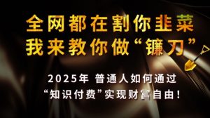 全网都在割你韭菜，我来教你做镰刀，2025普通人如何通过知识付费，实现财F自由【揭秘】-大齐资源站