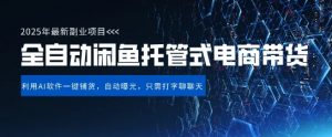 【闲鱼全自动电商带货】三年磨一剑,一朝露锋芒,长期稳定项目,单日稳定变现5张【揭秘】-大齐资源站