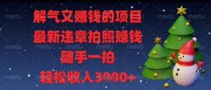 解气又挣钱的项目，最新违章拍照挣钱，随手一拍，轻松收入多张【揭秘】-大齐资源站