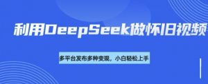 利用DeepSeek做怀旧视频,流量号多渠道变现能力强-大齐资源站