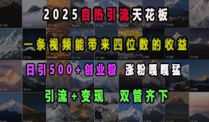 2025自热引流天花板，一条视频能带来四位数的收益，引流+变现双管齐下，日引500+创业粉，涨粉嘎嘎猛-大齐资源站