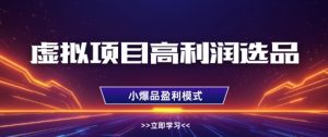 虚拟项目高利润选品方法，做好单店利润1W+，可多店倍增利润-大齐资源站