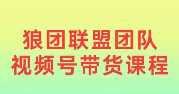 狼团联盟2024视频号带货，0基础小白快速入局视频号-大齐资源站
