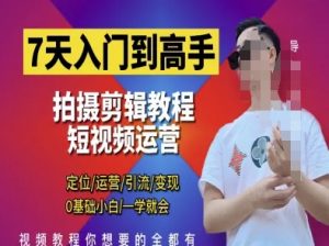 7天入门到高手，短视频剪辑运营高手课，定位 运营 引|流 变现，0基础小白一学就会-大齐资源站