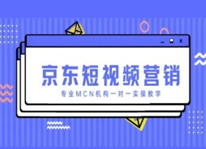 京东短视频营销项目，专业MCN机构一对一实操教学-大齐资源站