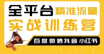 全平台精准流量实战训练营，百度微信抖音小红书SEO引流教程-大齐资源站