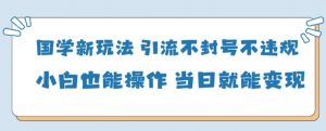 国学新玩法，引流不封号不违规小白也能操作，当日就能变现-大齐资源站