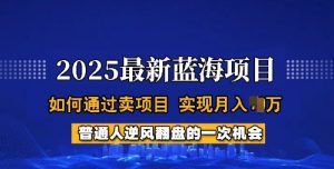 2025蓝海项目,普通人如何通过卖项目,实现月入过W,全过程【揭秘】-大齐资源站