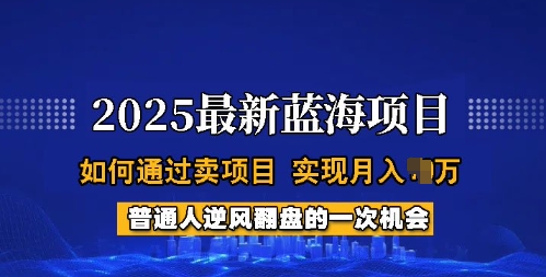 2025蓝海项目，普通人如何通过卖项目，实现月入过W，全过程【揭秘】-大齐资源站