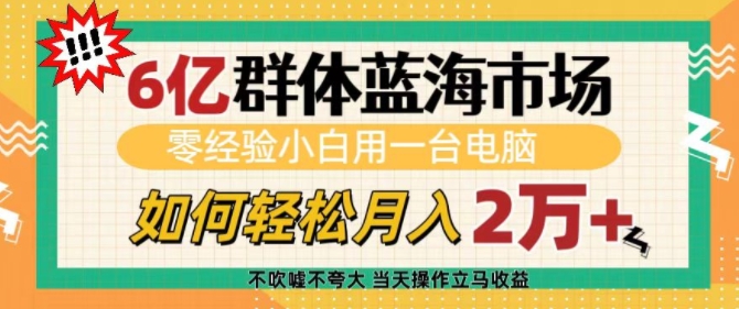 6亿群体蓝海市场，零经验小白用一台电脑，如何轻松月入过w【揭秘】-大齐资源站