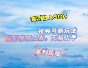 微信视频号最新玩法，表情包搭配情感文案，2分钟一条原创作品，简单好上手，轻松日入几张-大齐资源站