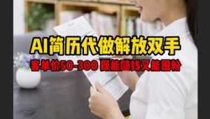AI简历代做解放双手，客单价50-300不等，既能挣钱又能囤粉-大齐资源站