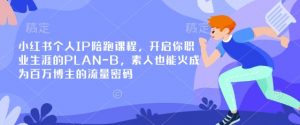 小红书个人IP陪跑课程，开启你职业生涯的PLAN-B，素人也能火成为百万博主的流量密码-大齐资源站
