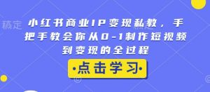 小红书商业IP变现私教,手把手教会你从0-1制作短视频到变现的全过程-大齐资源站