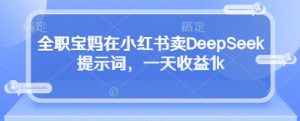 全职宝妈在小红书卖DeepSeek提示词,一天收益1k-大齐资源站