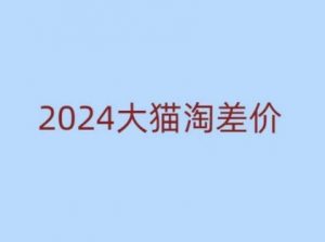 2024版大猫淘差价课程，新手也能学的无货源电商课程-大齐资源站