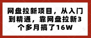 网盘拉新项目,从入门到精通,靠网盘拉新3个多月搞了16W-大齐资源站