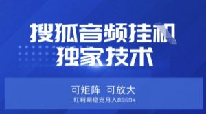 【搜狐音频挂G】独家技术，可矩阵可放大，红利期稳定月入8k【揭秘】-大齐资源站