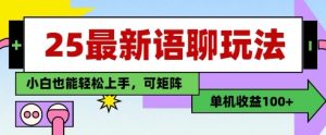 25年最新语聊玩法,纯手工,单机收益100+,小白也能轻松上手,可矩阵操作-大齐资源站