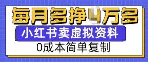 小红书虚拟资料项目，0成本简单复制，每个月多挣1W【揭秘】-大齐资源站
