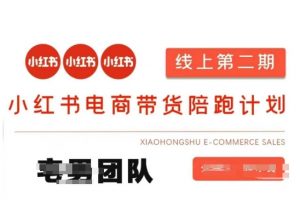 小红书电商带货课2期，月利润20个的小红书电商的有货源，无货源，虚拟产品，付费投流等整套玩法-大齐资源站