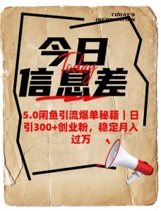 5.0闲鱼引流爆单秘籍，日引300+创业粉，稳定月入过W-大齐资源站