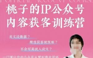 桃子IP公众号内容获客训练营(第3期)，一门让你公众号从0到商业闭环的课程-大齐资源站