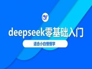 deepseek零基础入门-deepseek教程2025，适合小白慢慢学-大齐资源站