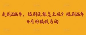 走到2025年，短剧还能怎么玩？短剧25年4月份搞钱方向-大齐资源站