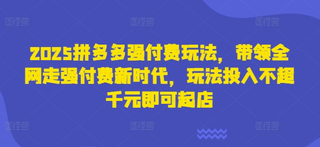 2025拼多多强付费玩法，带领全网走强付费新时代，玩法投入不超千元即可起店-大齐资源站