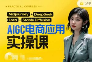 AI电商应用实操课(加更DeepSeek)保姆级喂饭教程,从0-1用AI做电商-大齐资源站