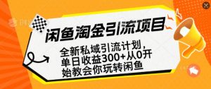 闲鱼淘金私域引流计划，从0开始玩转闲鱼，副业也可以挣到全职的工资-大齐资源站
