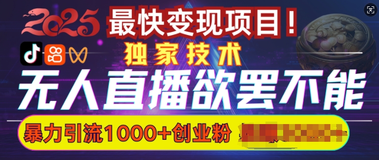 欲罢不能的无人直播引流，超暴力日引流1000+高质量精准创业粉-大齐资源站