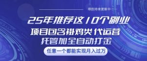 25年推荐这10个副业项目包含褂鸡类、代运营托管类、全自动打金类【揭秘】-大齐资源站