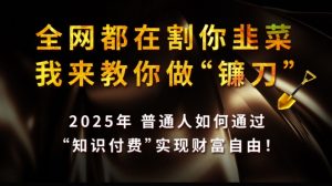 全网都在割你韭菜，我来教你做镰刀,2025普通人如何通过知识付费，实现财F自由【揭秘】-大齐资源站