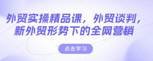 外贸实操精品课，外贸谈判，新外贸形势下的全网营销-大齐资源站